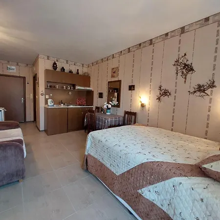 студия в центре солнечного берега